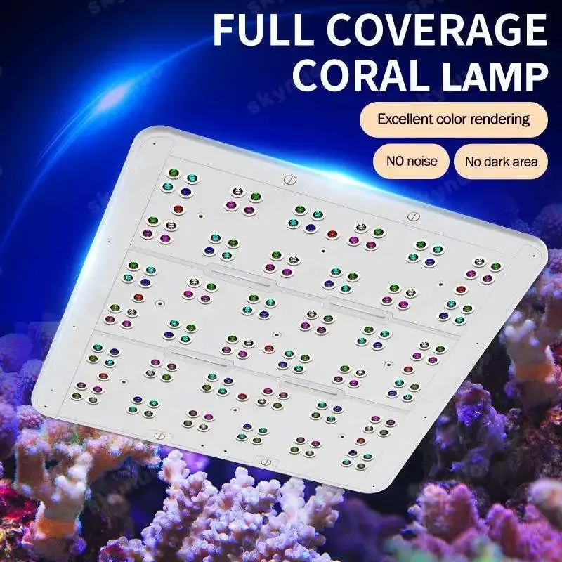 Stokta KASSRAY T90 90W Düz Pan - Marine Coral incelemesi ve fiyatı