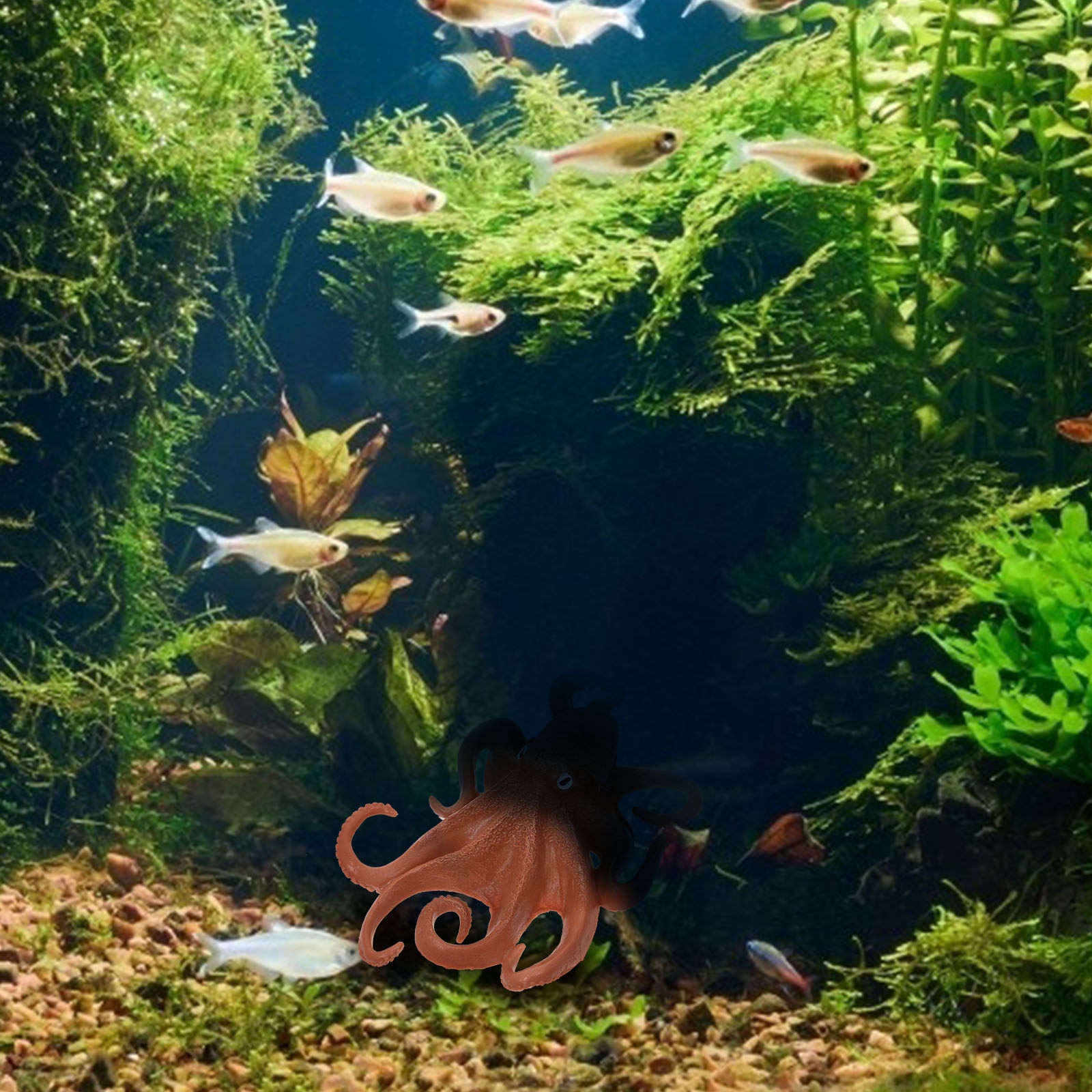 Gerçekçi Ahtapot Figürü, Plast - Marine Aquarium incelemesi ve fiyatı